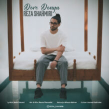 آهنگ جدید رضا شاه میری به نام دور دنیا